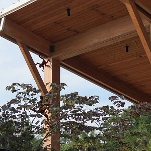 Entrance & Exit Area - Decorative Detail