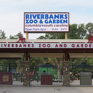 Entrance & Exit Area - Gate Before Opening