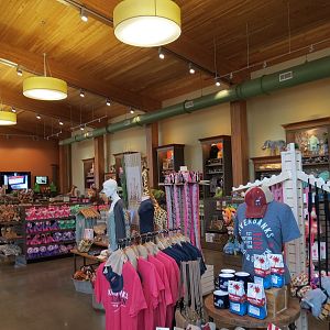 Entrance & Exit Area - Gift Shop - Interior