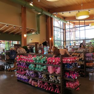 Entrance & Exit Area - Gift Shop - Interior