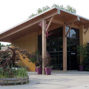 Entrance & Exit Area - Gift Shop - Exterior