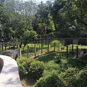 Giant Panda Exhibits