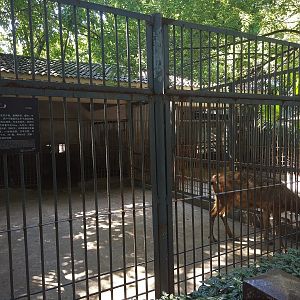 Pere David's Exhibit