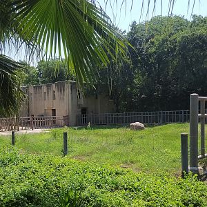 Asian Elephant Exhibit