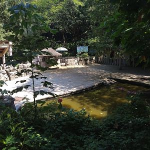 Common Hippo Exhibit