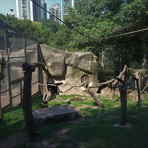 Primate Exhibit