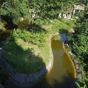 Chimpanzee and Orangutan Exhibits