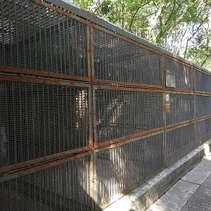 Row of Old Cages