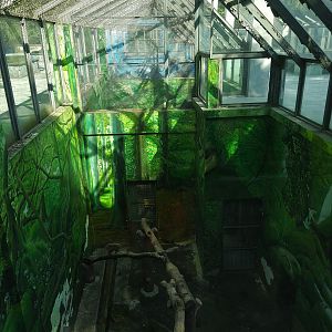 Exhibits at the back of Medium-sized Cat House