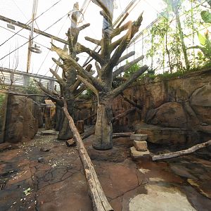 Africa house - Mandrill indoor enclosure