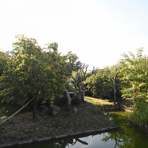 Lemur island walkthrough