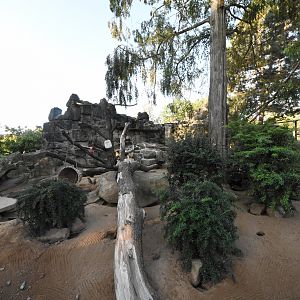 Zebra mongoose enclosure