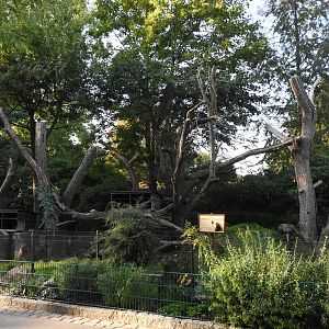 North American porcupine enclosure