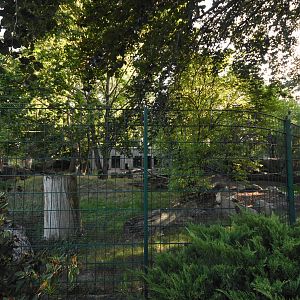 Chinese dhole enclosure