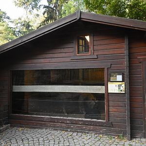 Golden takin stables