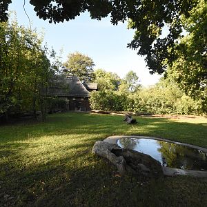 Aldabran giant tortoise enclosure