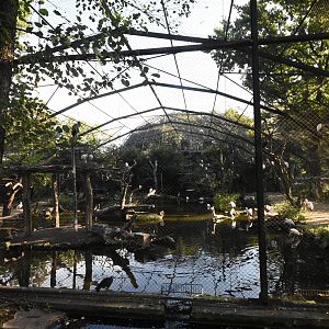 African wading bird aviary