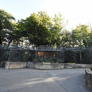 European bird aviaries