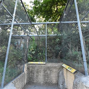 European forest and meadow bird aviary