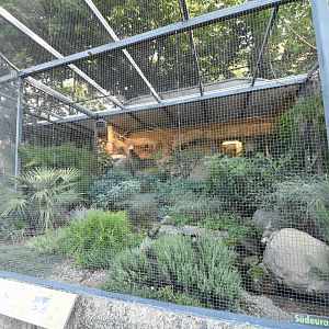 Mediterranean aviary