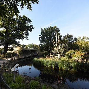 Prof. Brandeshaus - Lion-tailed macaque island
