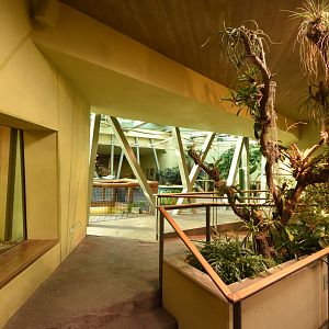 Prof. Brandeshaus - General view