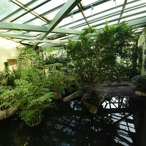 Prof. Brandeshaus - Tomistoma enclosure