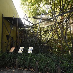 Prof. Brandeshaus - Emperor bearded tamaring & Three-banded armadillo outdoor