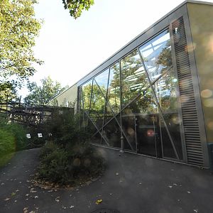 Prof. Brandeshaus - Tamandua & White-faced saki outdoor