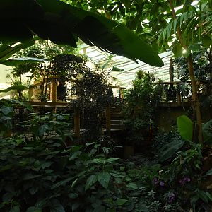 Prof. Brandeshaus - General view