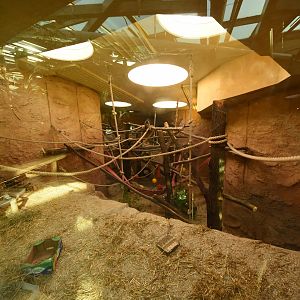 Prof. Brandeshaus - Lion-tailed macaque indoor enclosure
