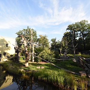 Prof. Brandeshaus - Kikuyu guereza island