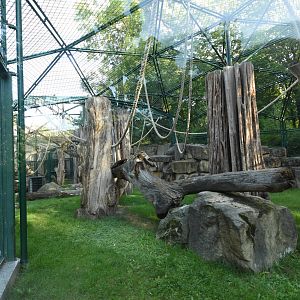 Orang utan outdoor cage