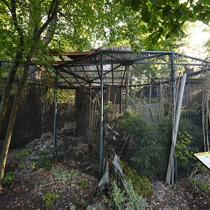 Laughing thrush and Bamboo partridge aviary