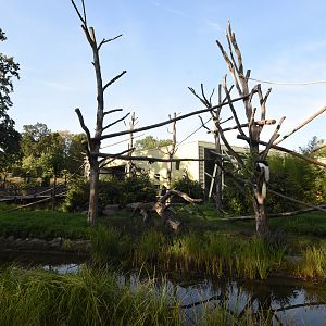 Prof. Brandeshaus - Kikuyu guereza island