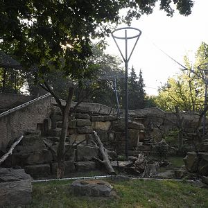 Snow leopard enclosure