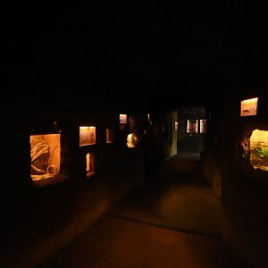 Underground zoo