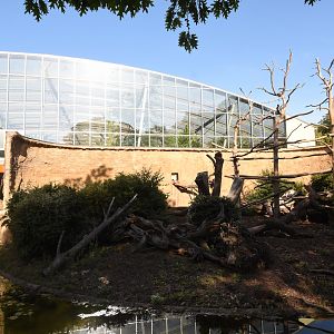 Africa house - Mandrill island