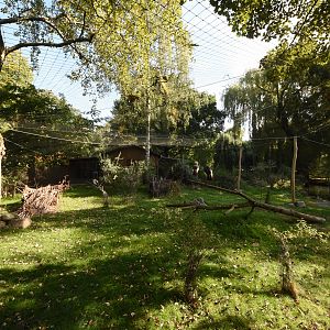 Grey crowned crane & Dikdik aviary