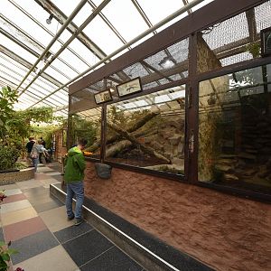 Terrarium - general overview