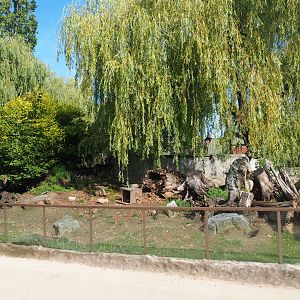 Black-tailed prairie dog exhibit, 2019-08-11