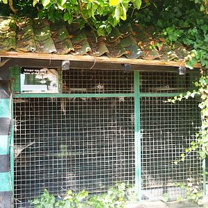 Awful old raccoon cage, now an empty relic, 2019-08-11