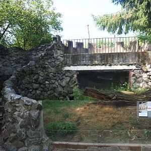 First meerkat exhibit, 2019-08-11