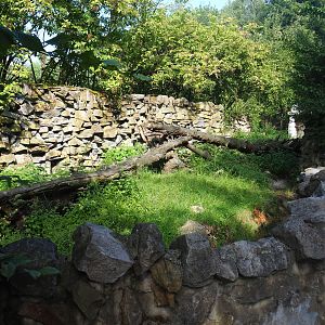 Former raccoon exhibit, now empty, 2019-08-11