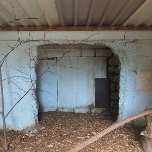 Former raccoon indoor housing, now empty, 2019-08-11