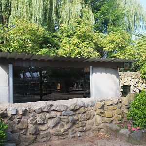 Former raccoon barn, now empty, 2019-08-11
