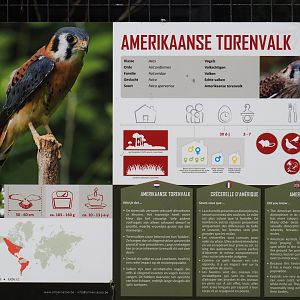 Signage example - Sign American kestrel, 2019-08-11