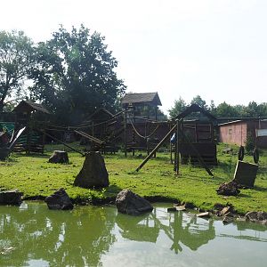 Black-capped capuchin - Capybara - Reeves' muntjac island, 2019-08-11