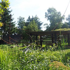 Ring-tailed lemur island, 2019-08-11