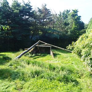 First cheetah exhibit, 2019-08-11
